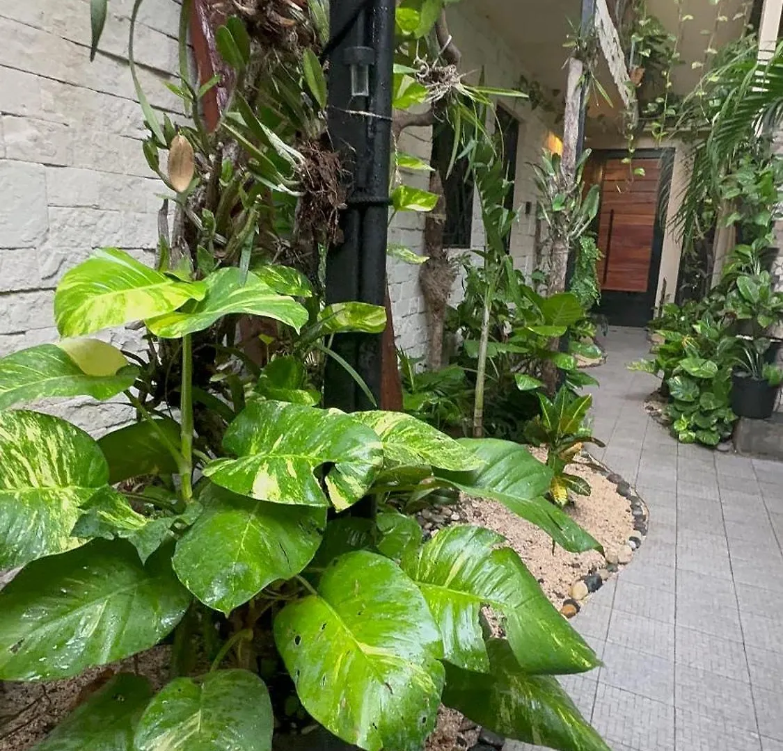 Estudio Centrico Tulum Pueblo Appartement